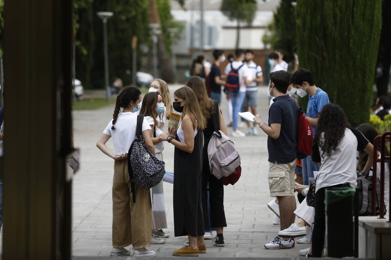 Medicina y Biomedicina; las carreras que estudiarán las alumnas de Córdoba con las mejores notas en la PEvAU