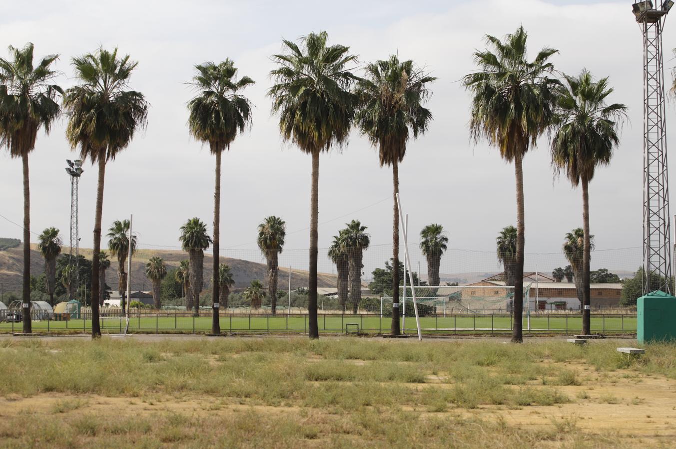 La toma de control de la Ciudad Deportiva por Tremón, en imágenes