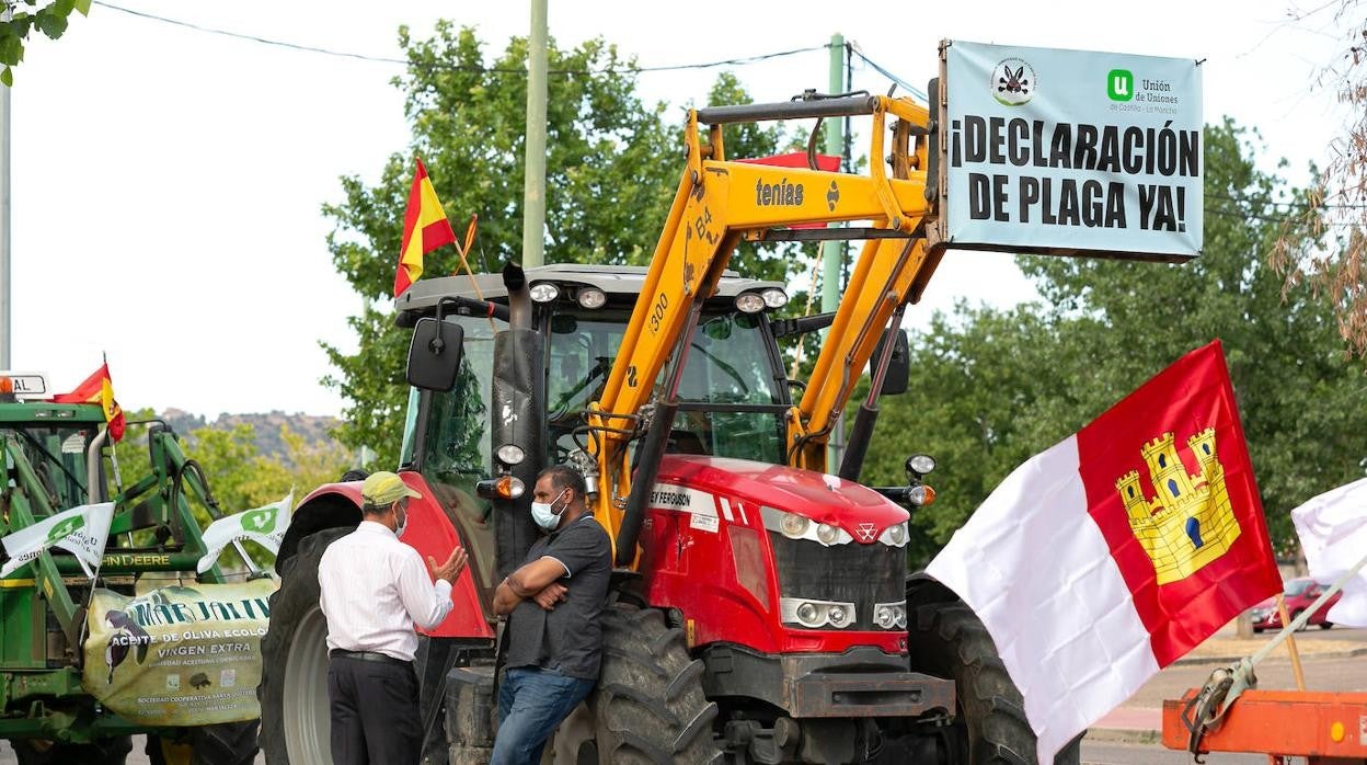 &#039;Tractorada&#039; en Toledo para exigir ayudas para el olivar afectado por Filomena