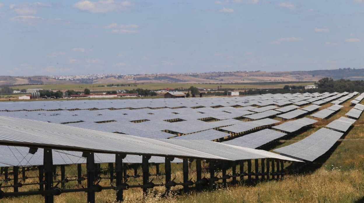 Las imágenes de la planta solar de Amazon en Alcalá de Guadaíra