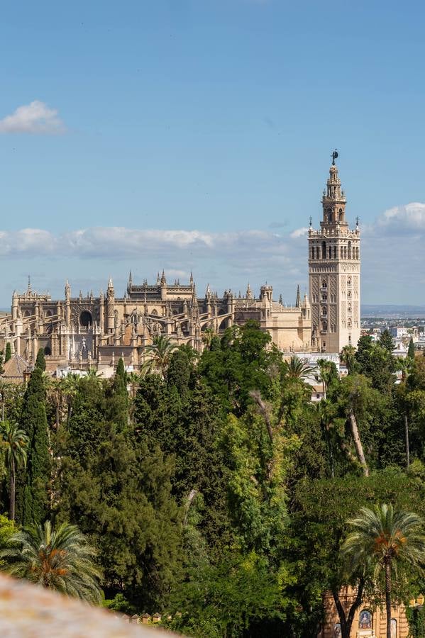 Los rincones ocultos de la Audiencia de Sevilla