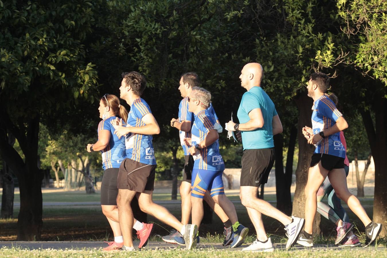 La carrera popular discurre íntegramente en el interior Parque del Alamillo.