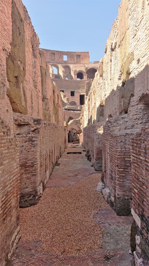 La hipogea del Coliseo se extiende por cerca de media hectárea y están rodeados por un muro perimetral y 14 tabiques que dan paso a una red de pasillos. El pasillo central albergaba las máquinas y los equipos necesarios para la realización de los espectáculos.