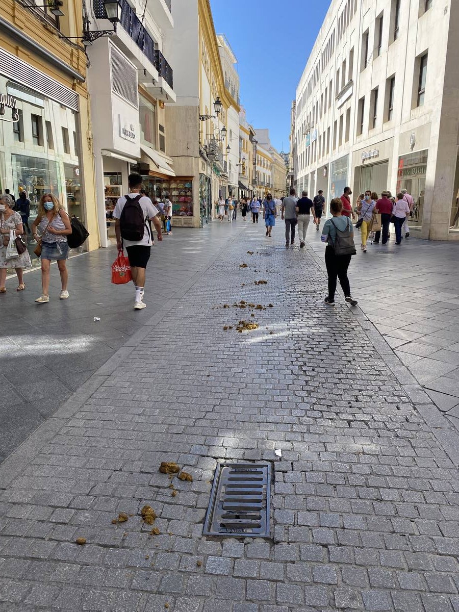 Costras de suciedad en las principales calles peatonales de Sevilla