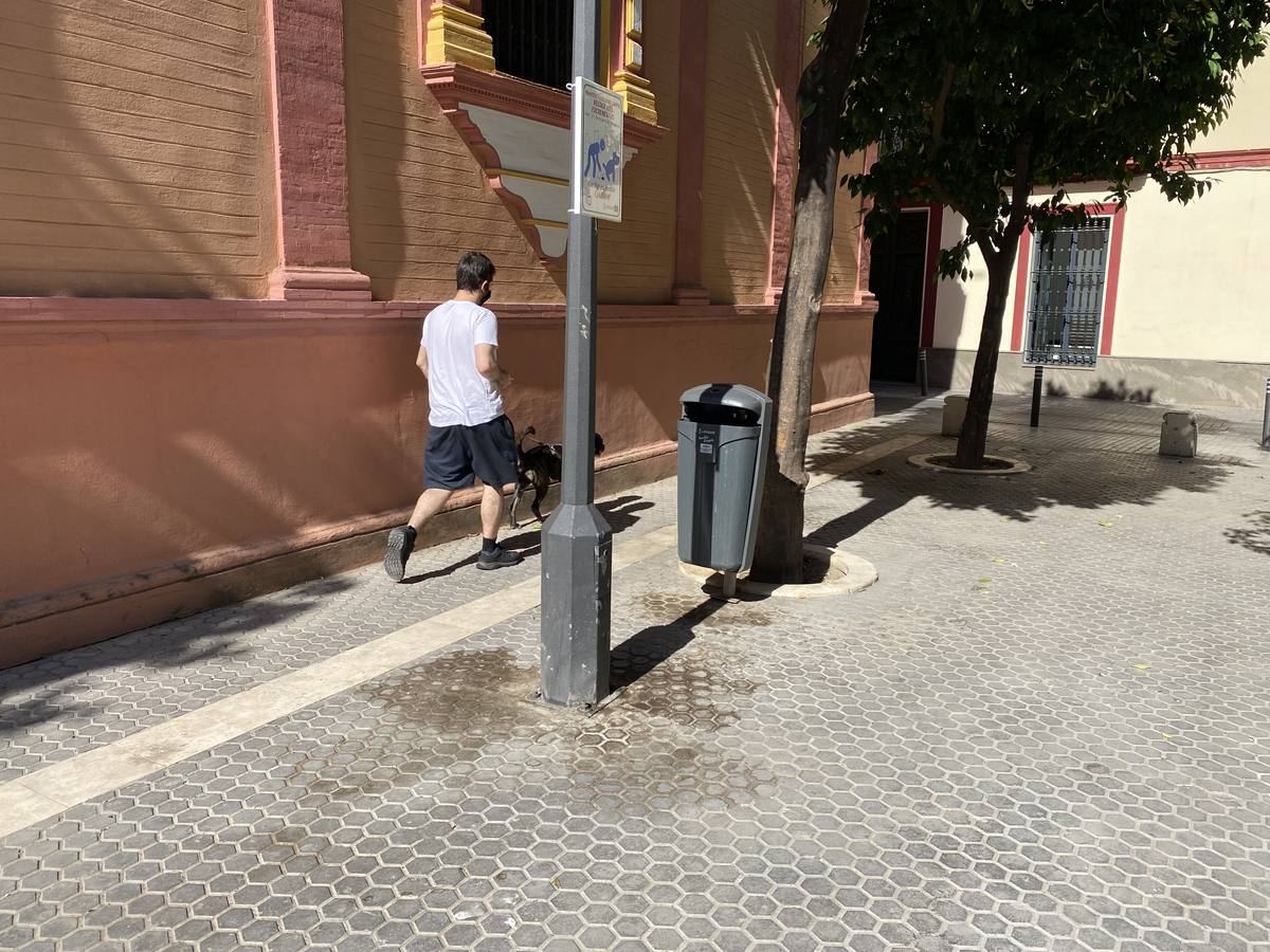 Costras de suciedad en las principales calles peatonales de Sevilla