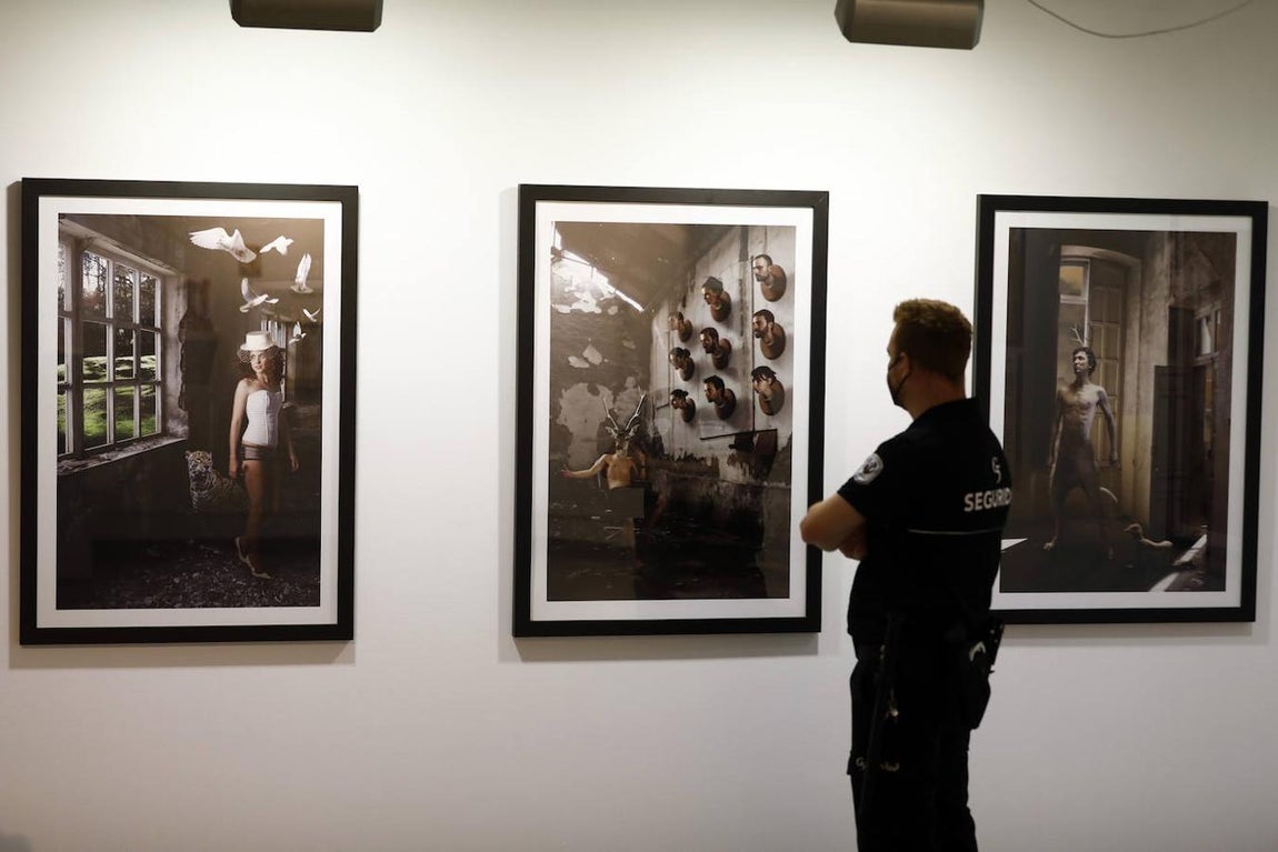 La exposición &#039;Animalario&#039;, en el centro Rafael Botí de Córdoba, en imágenes