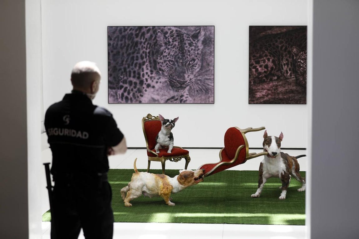 La exposición &#039;Animalario&#039;, en el centro Rafael Botí de Córdoba, en imágenes
