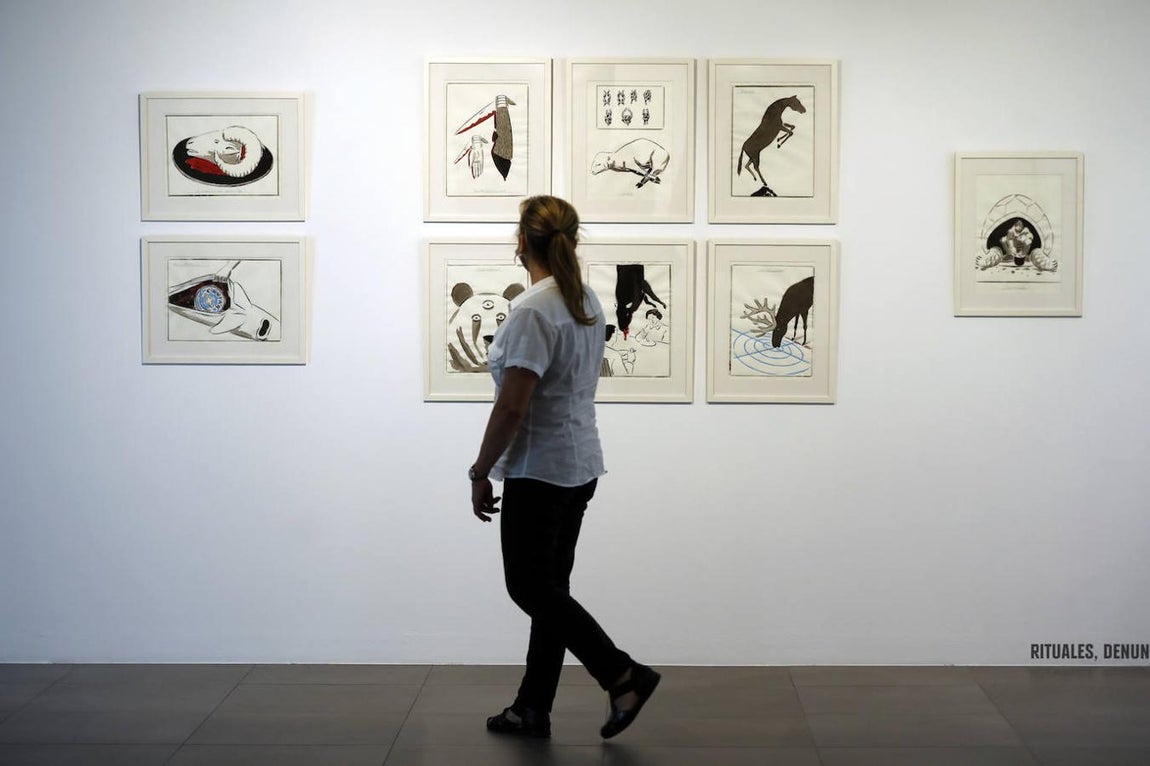 La exposición &#039;Animalario&#039;, en el centro Rafael Botí de Córdoba, en imágenes