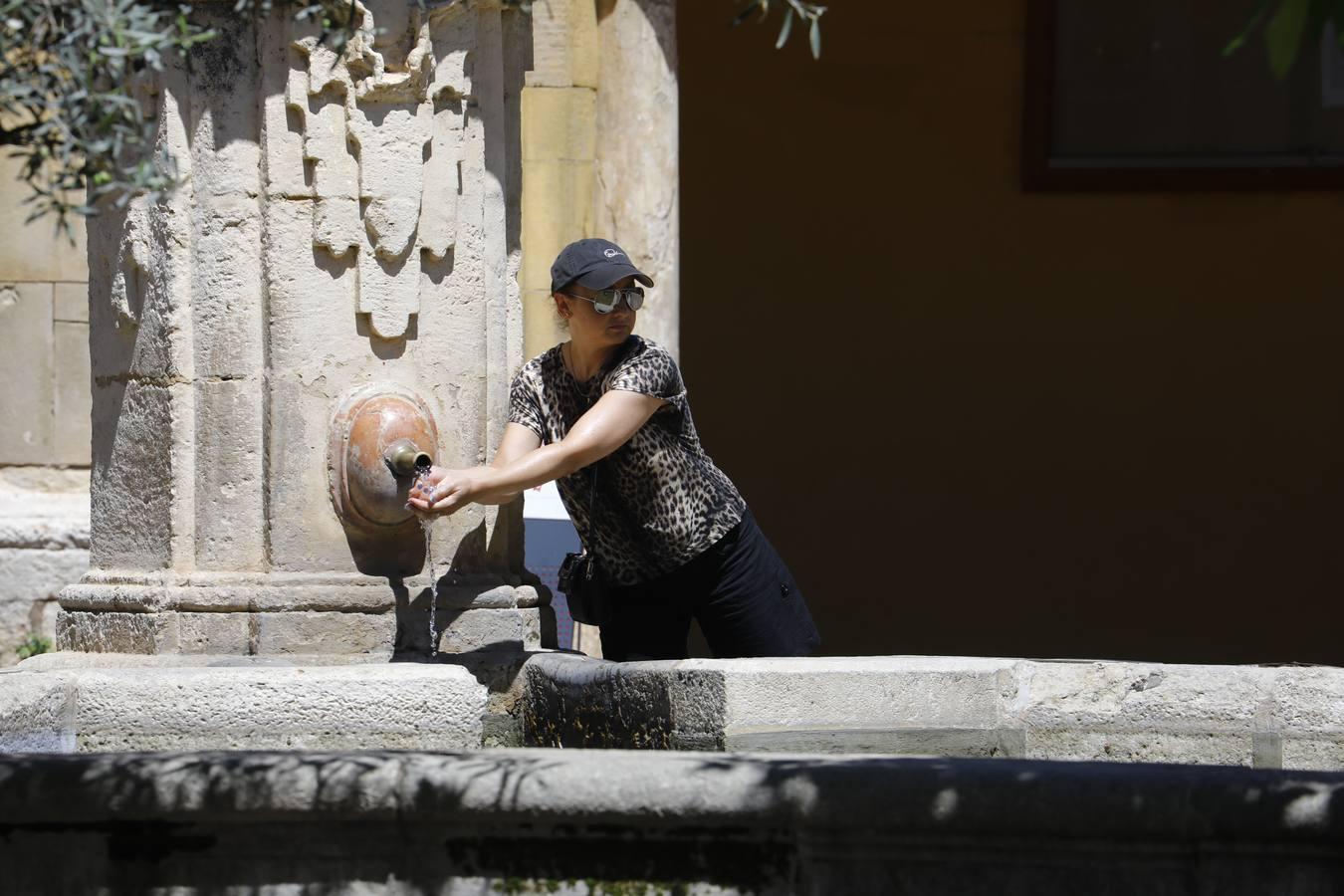 El calor en Córdoba, en imágenes