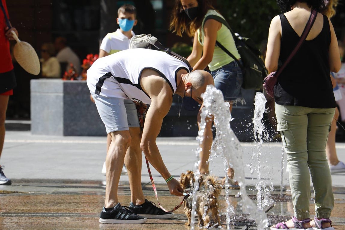 El calor en Córdoba, en imágenes