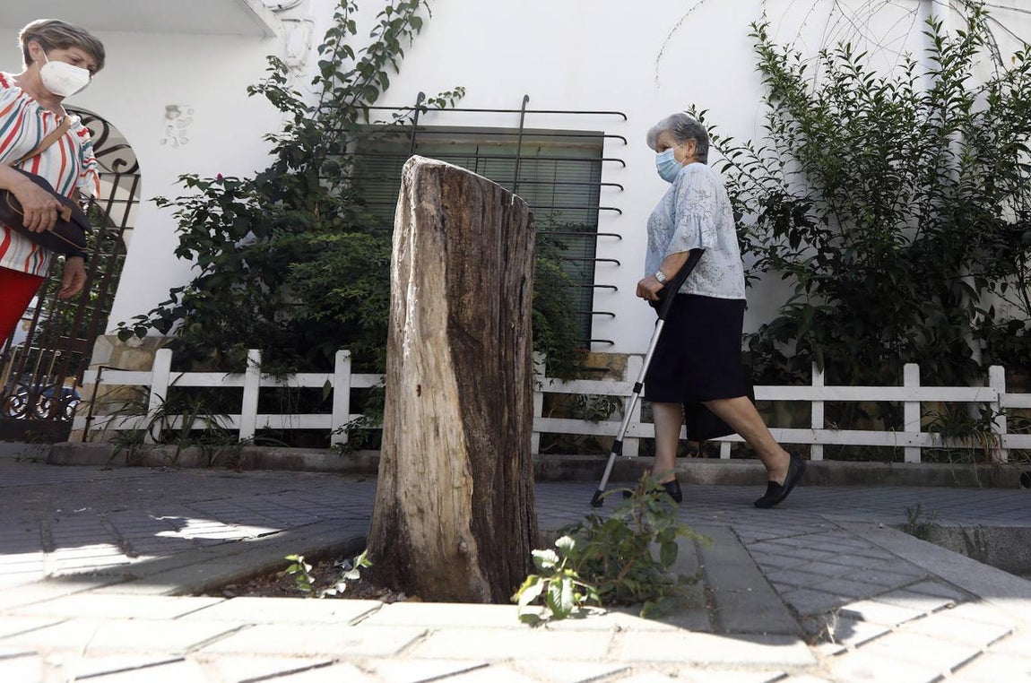 Los barrios de Córdoba que agotan su paciencia, en imágenes