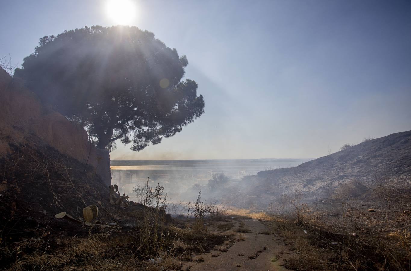 El incendio ha sido controlado a escasos metros de alcanzar varios bloques de viviendas y un centro de rehabilitación