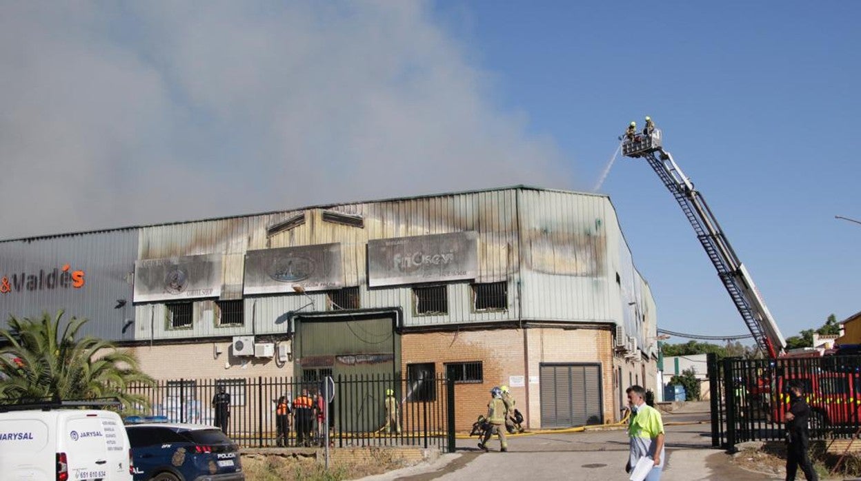 Las espectaculares imágenes del incendio en el polígono industrial Fuente del Rey