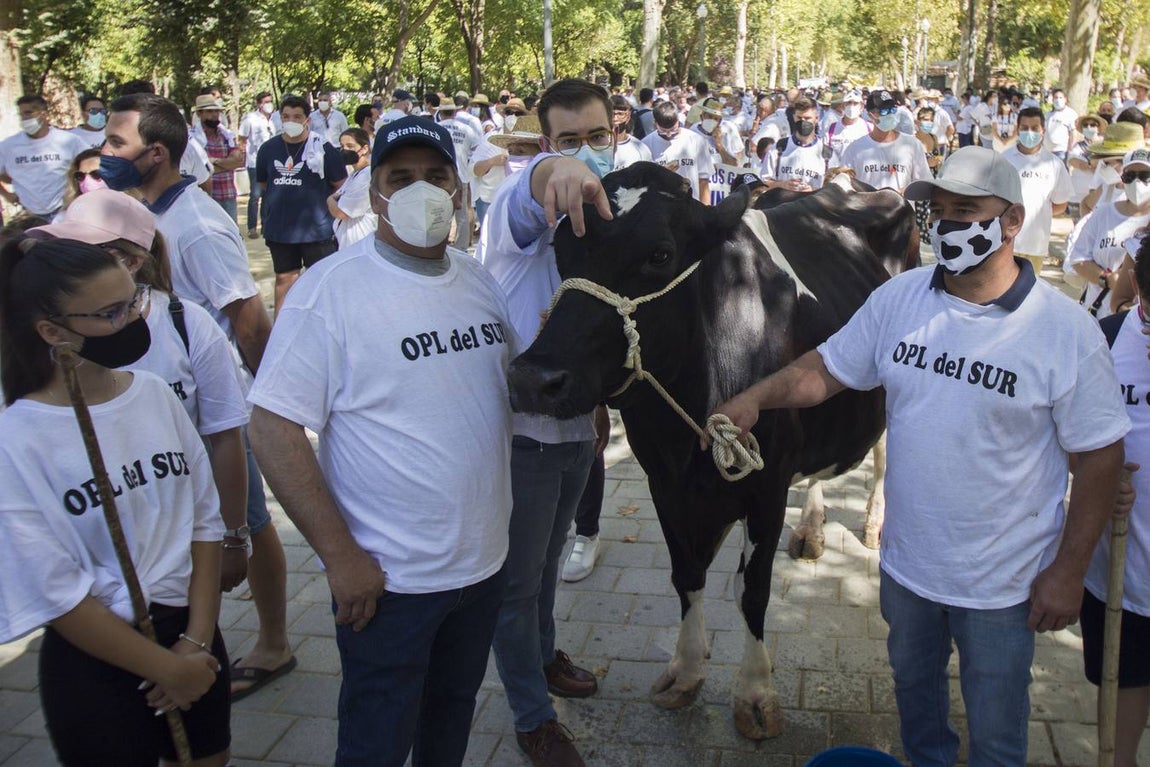 Los ganaderos no pueden soportar los costes de producción de la leche con los precios que le impone el mercado