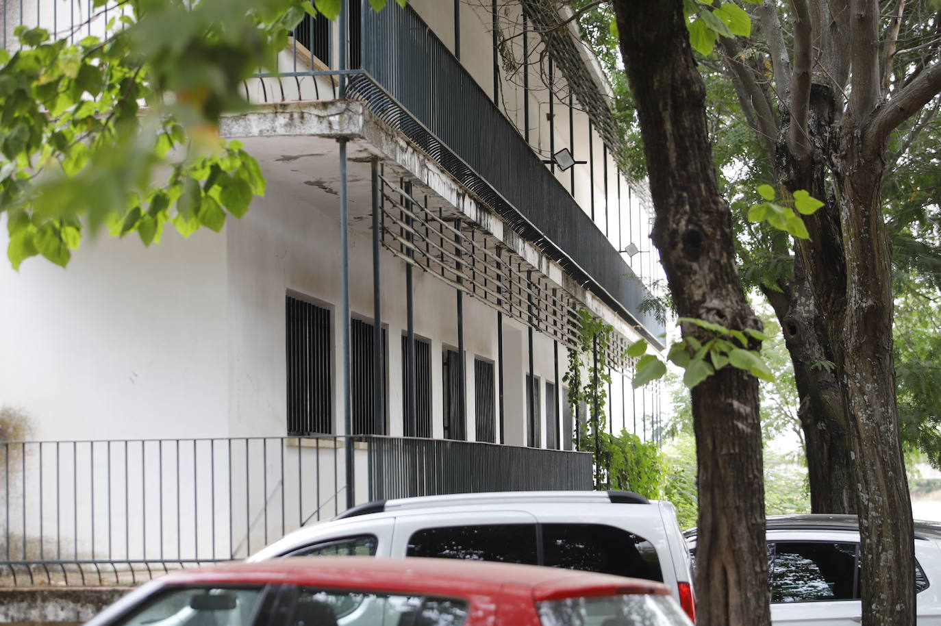 El estado de la Colonia San José de la Universidad de Córdoba, en imágenes