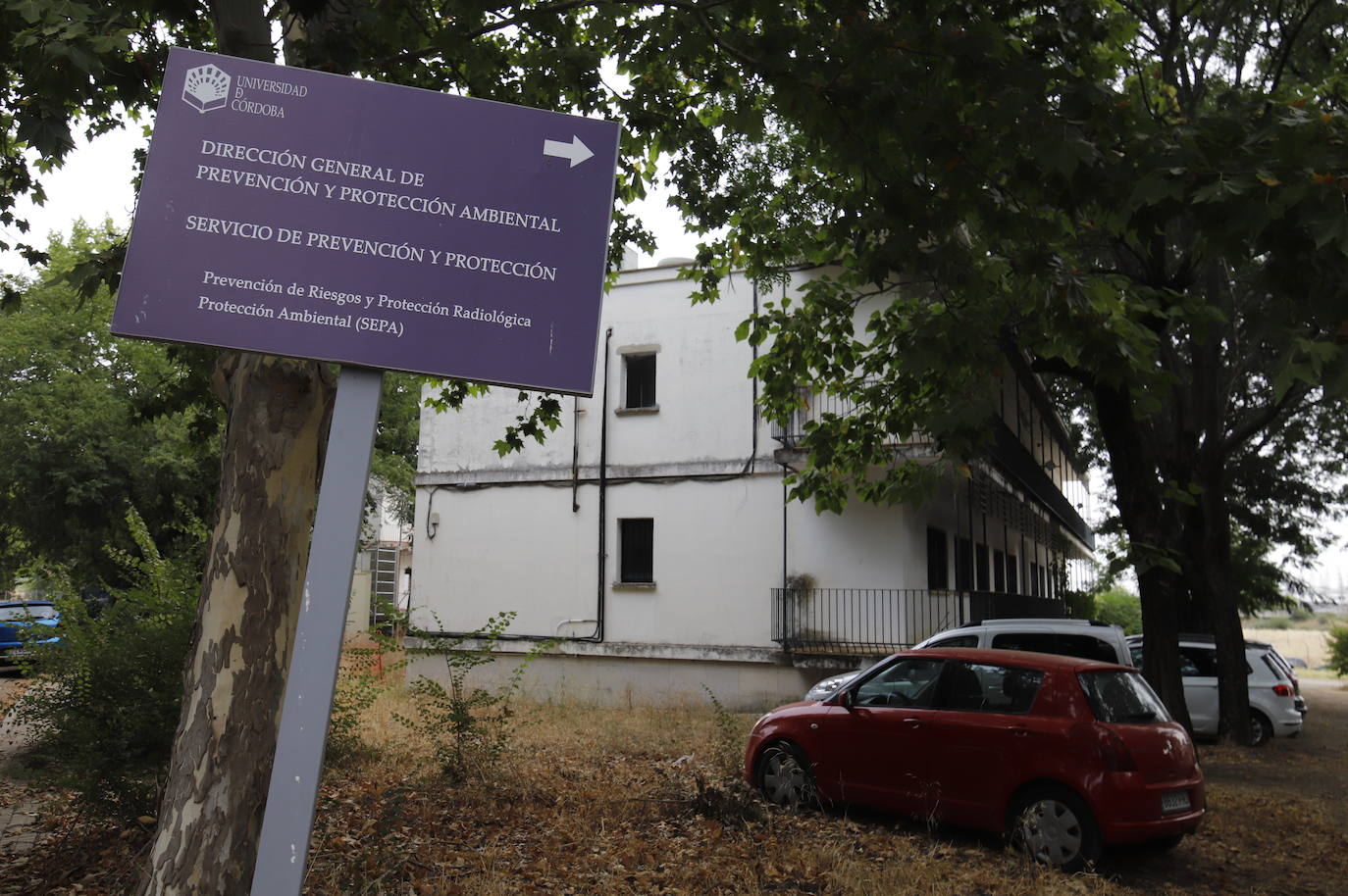 El estado de la Colonia San José de la Universidad de Córdoba, en imágenes