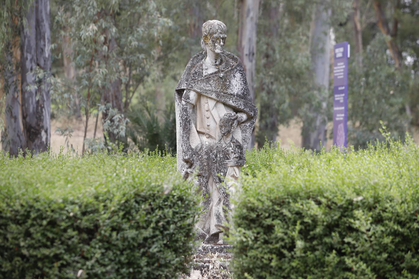 El estado de la Colonia San José de la Universidad de Córdoba, en imágenes