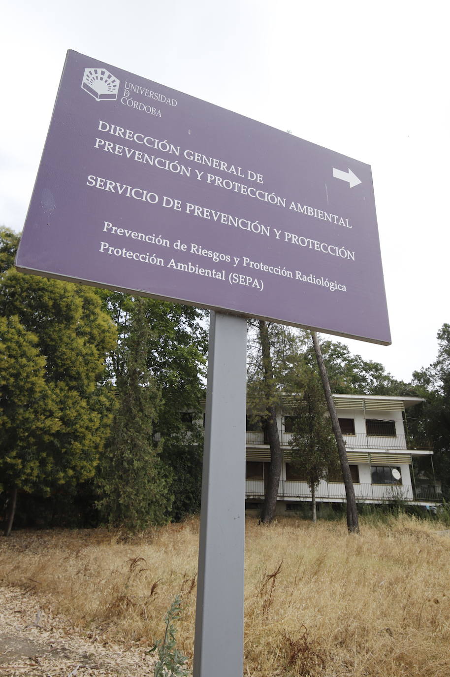 El estado de la Colonia San José de la Universidad de Córdoba, en imágenes