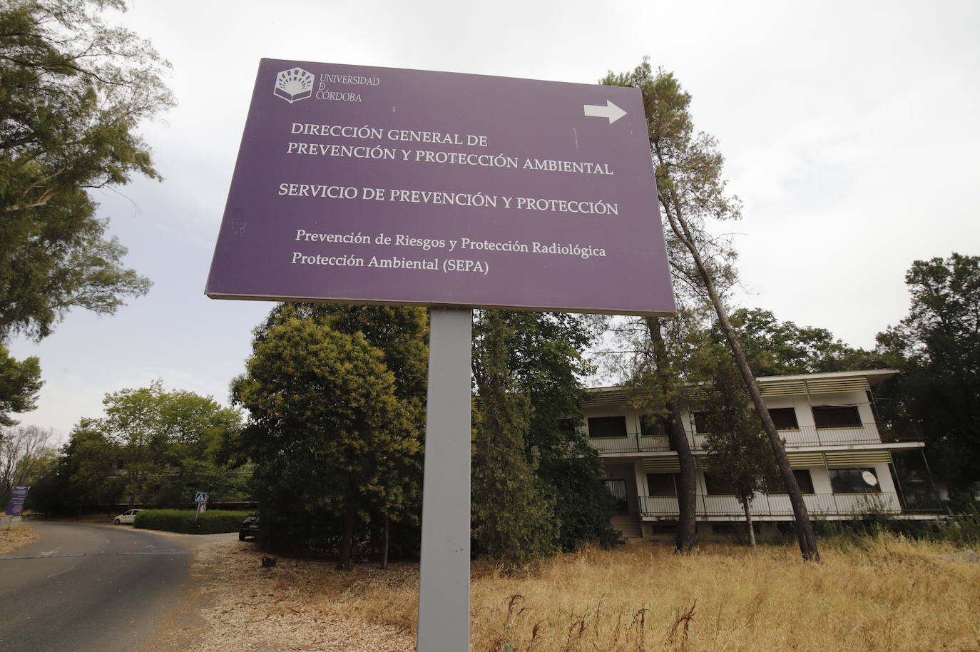 El estado de la Colonia San José de la Universidad de Córdoba, en imágenes