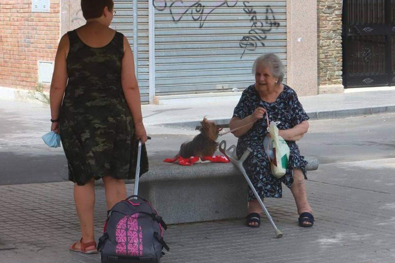 El combate al calor en el Sector Sur de Córdoba, en imágenes