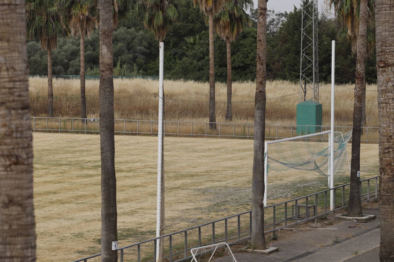 El mal estado de la Ciudad deportiva del Córdoba, en imágenes