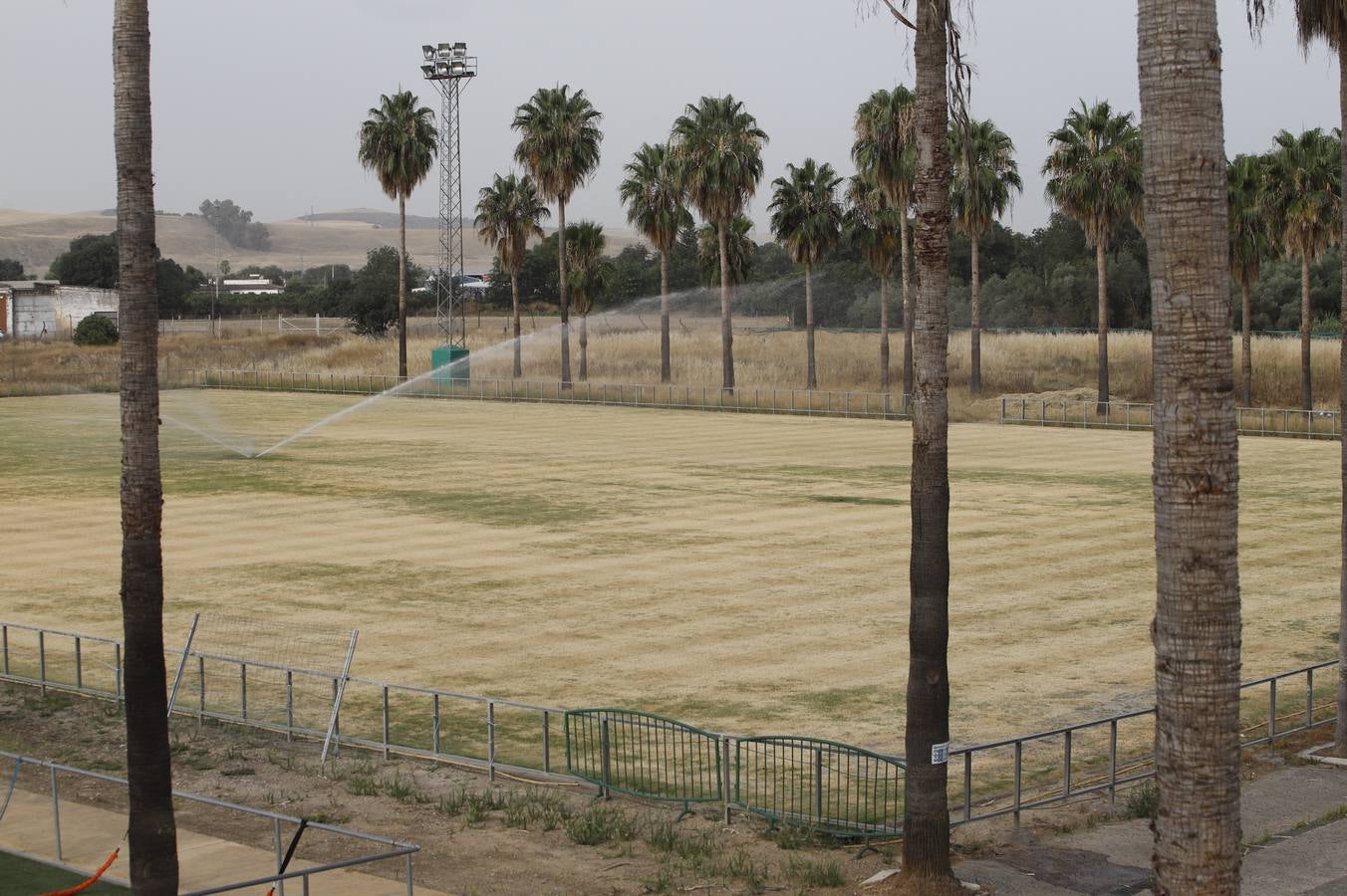 El mal estado de la Ciudad deportiva del Córdoba, en imágenes