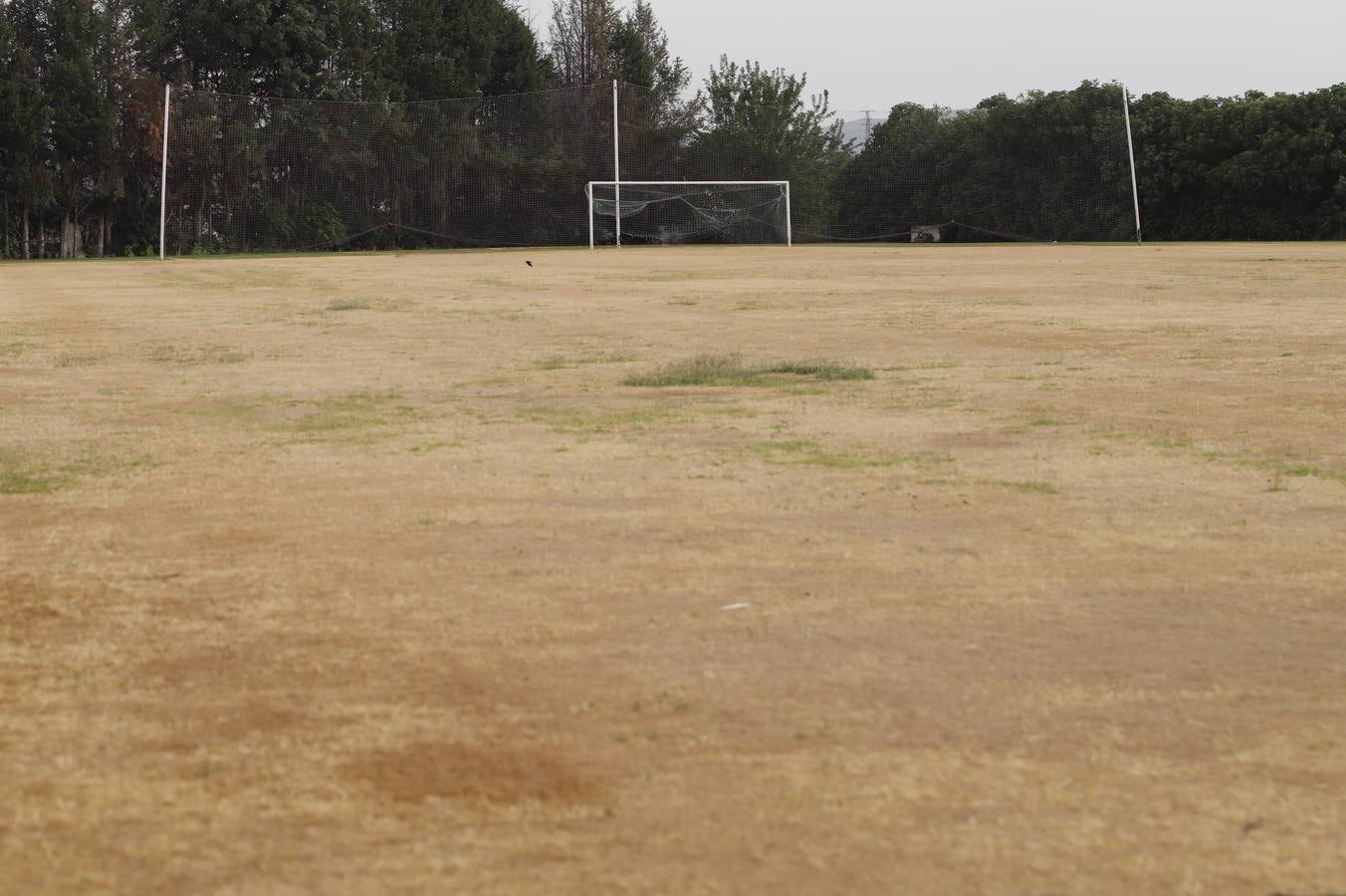 El mal estado de la Ciudad deportiva del Córdoba, en imágenes