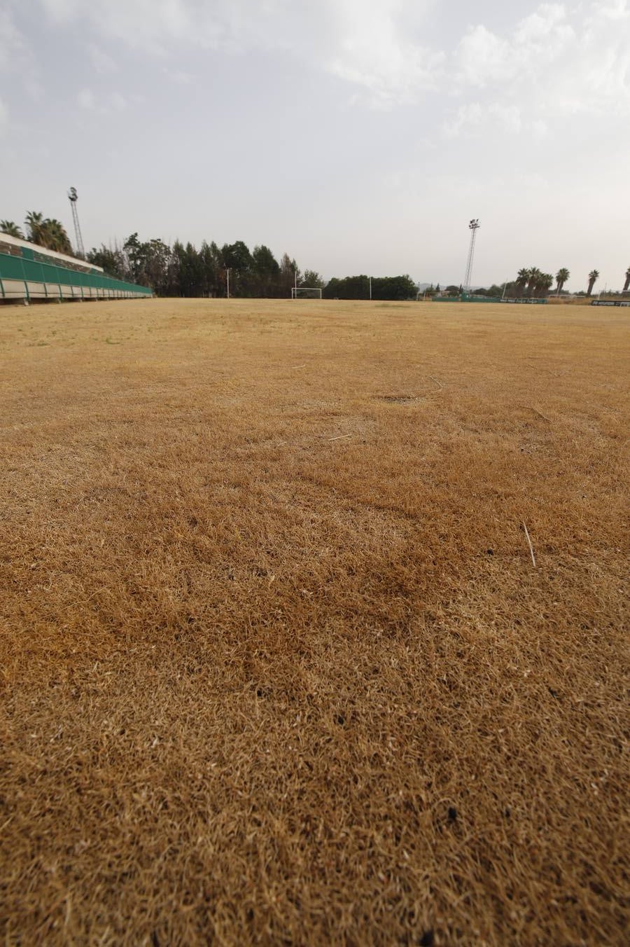 El mal estado de la Ciudad deportiva del Córdoba, en imágenes