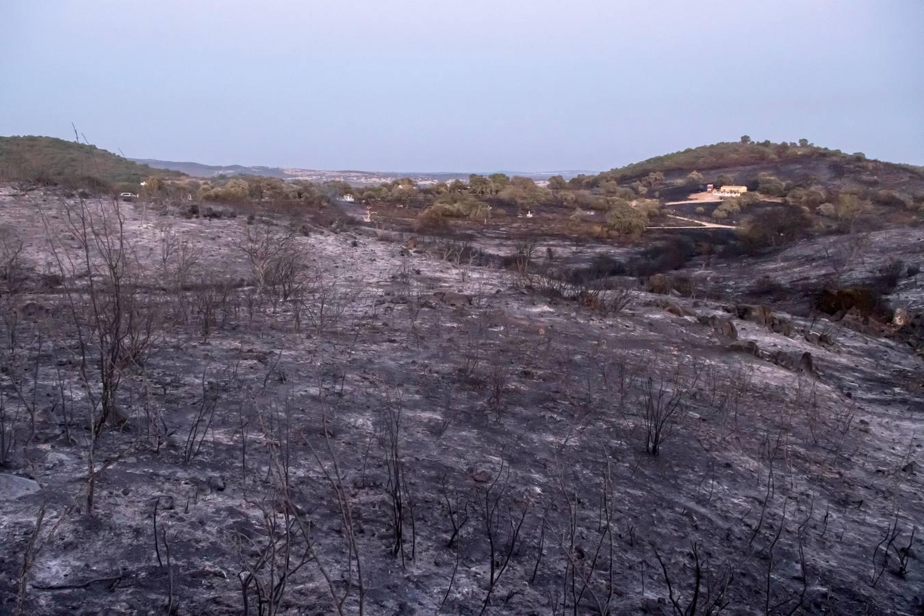 En imágenes, el incendio de El Ronquillo calcina 18 hectáreas de dehesa