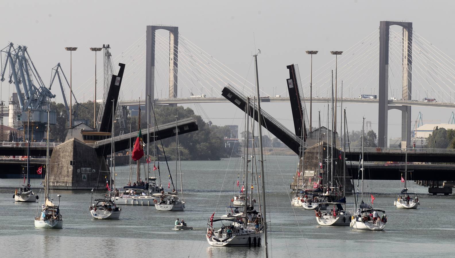 Los veleros se dirigen a Cádiz dejando una curiosa imagen en la dársena del Guadalquivir