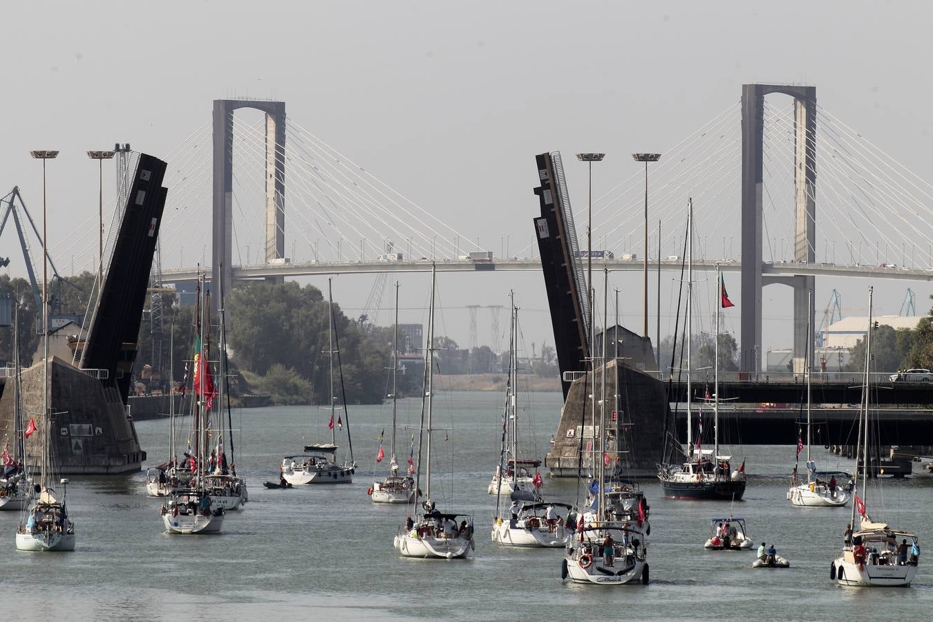 Los veleros se dirigen a Cádiz dejando una curiosa imagen en la dársena del Guadalquivir