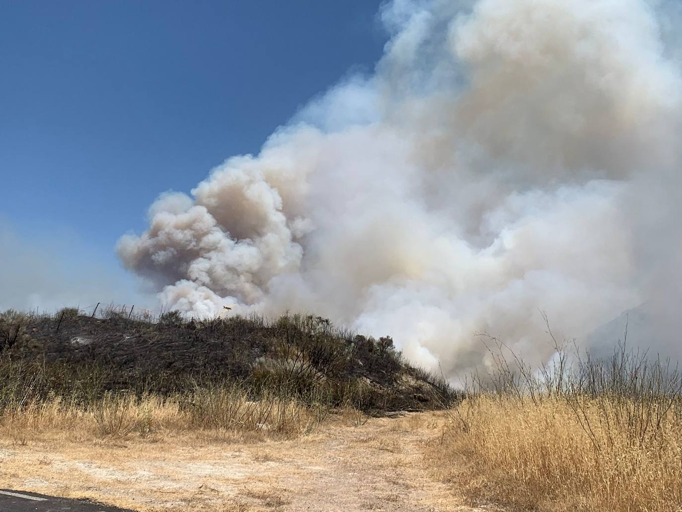 El incendio forestal en la Sierra de Cabra, en imágenes