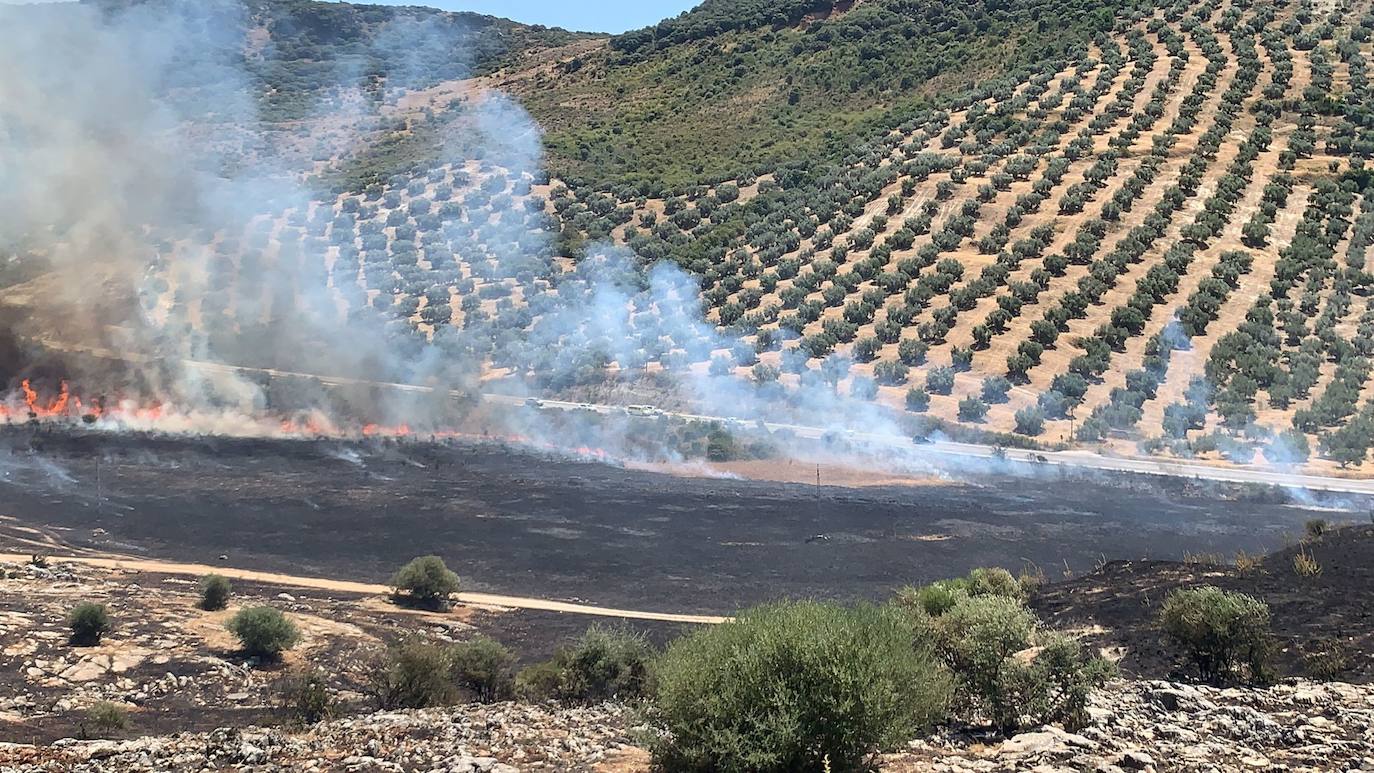 El incendio forestal en la Sierra de Cabra, en imágenes