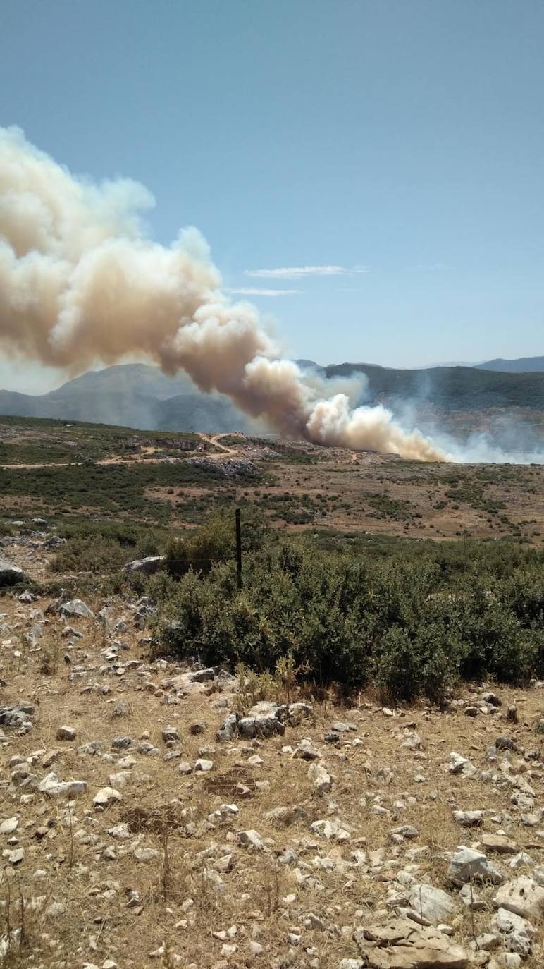 El incendio forestal en la Sierra de Cabra, en imágenes