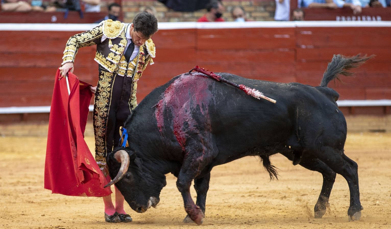 Un triunfal Daniel Luque suaviza el decepcionante retorno de Torrestrella