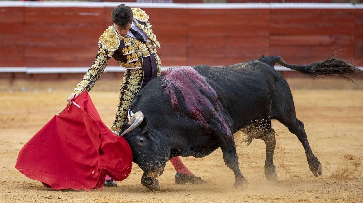 Un triunfal Daniel Luque suaviza el decepcionante retorno de Torrestrella