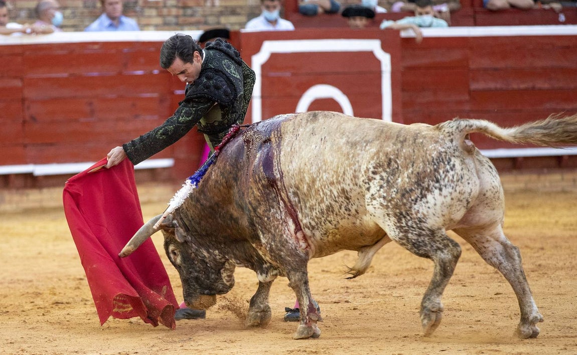 Un triunfal Daniel Luque suaviza el decepcionante retorno de Torrestrella