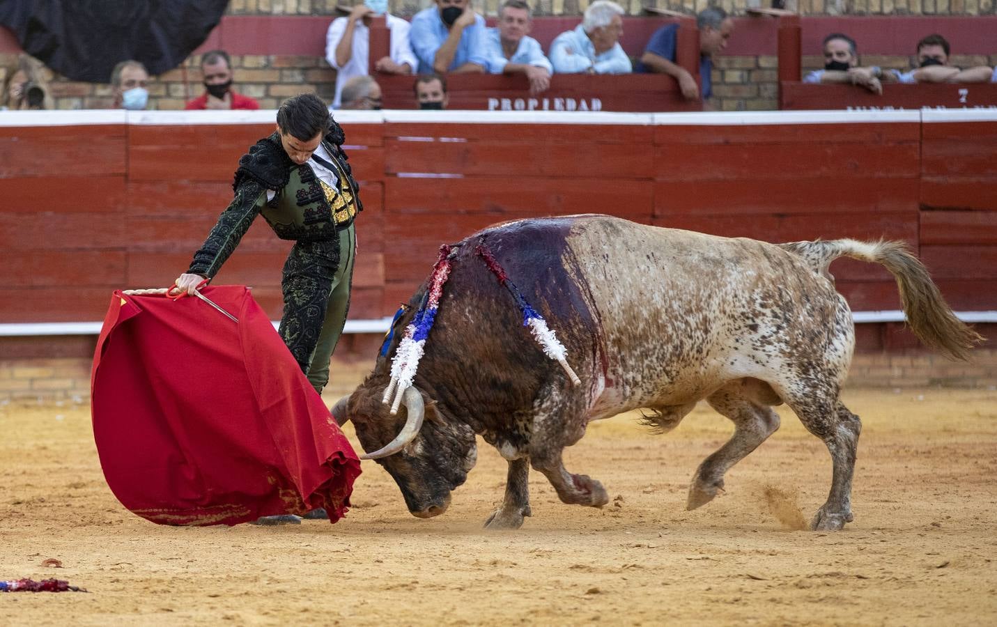 Un triunfal Daniel Luque suaviza el decepcionante retorno de Torrestrella