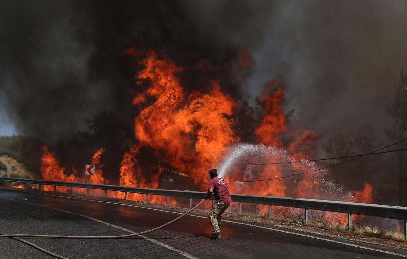 Los incendios forestales destruyen varios países mediterráneos