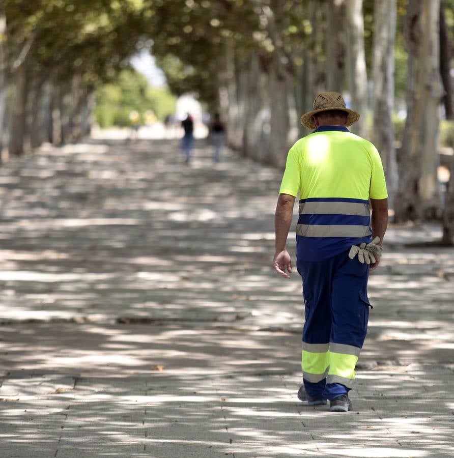 El paradigma de la falta de mantenimiento es Torneo,  donde este martes han comenzado las obras para su transformación en bulevar verde. La muralla de la Macarena o las columnas de la calle Mármoles son otros ejemplos