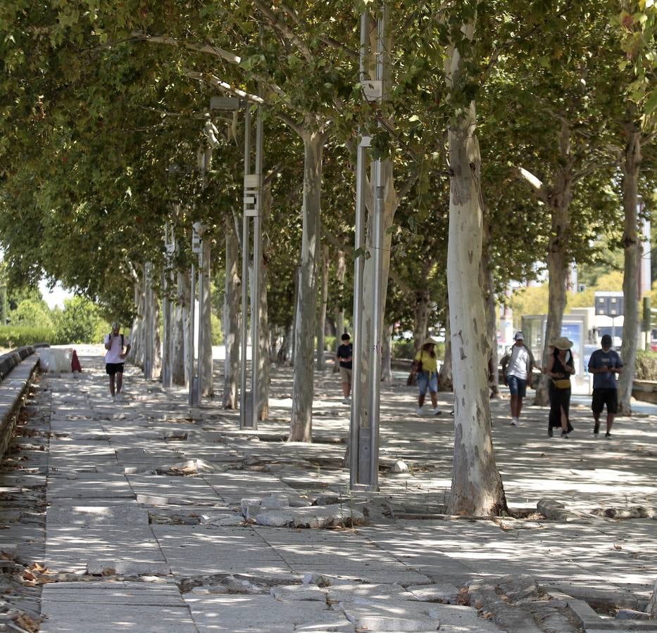 El paradigma de la falta de mantenimiento es Torneo,  donde este martes han comenzado las obras para su transformación en bulevar verde. La muralla de la Macarena o las columnas de la calle Mármoles son otros ejemplos