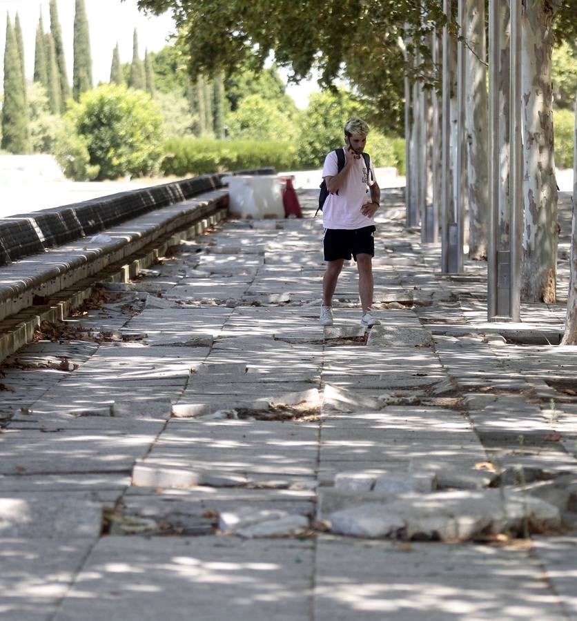 El paradigma de la falta de mantenimiento es Torneo,  donde este martes han comenzado las obras para su transformación en bulevar verde. La muralla de la Macarena o las columnas de la calle Mármoles son otros ejemplos