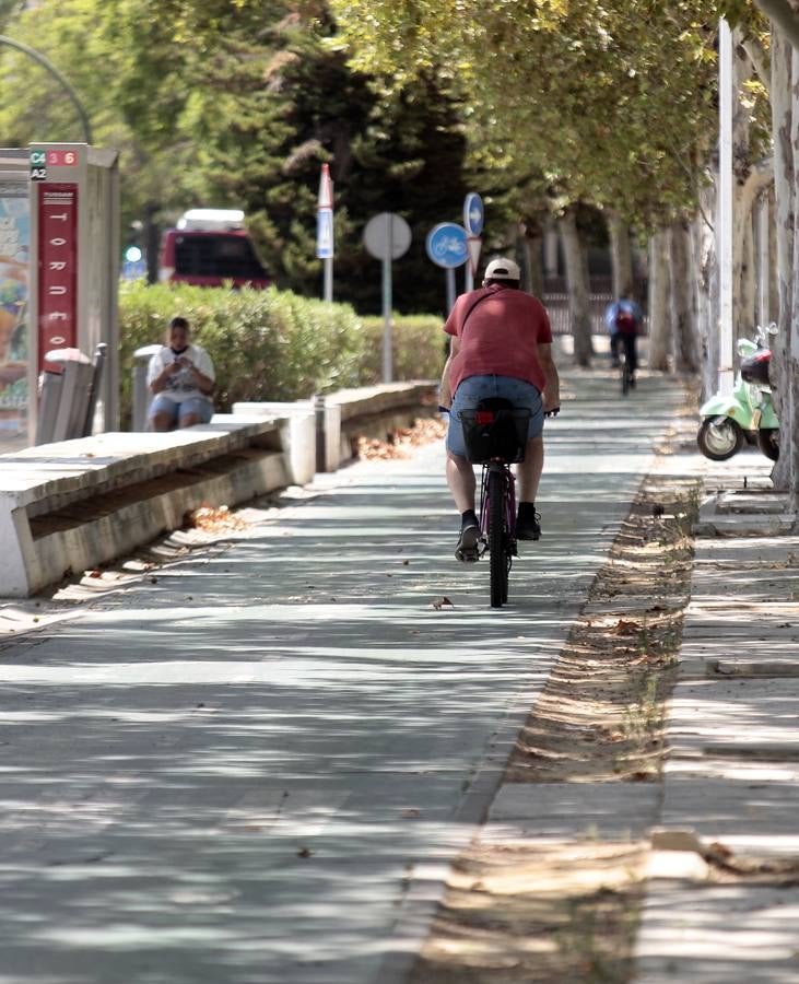 El paradigma de la falta de mantenimiento es Torneo,  donde este martes han comenzado las obras para su transformación en bulevar verde. La muralla de la Macarena o las columnas de la calle Mármoles son otros ejemplos