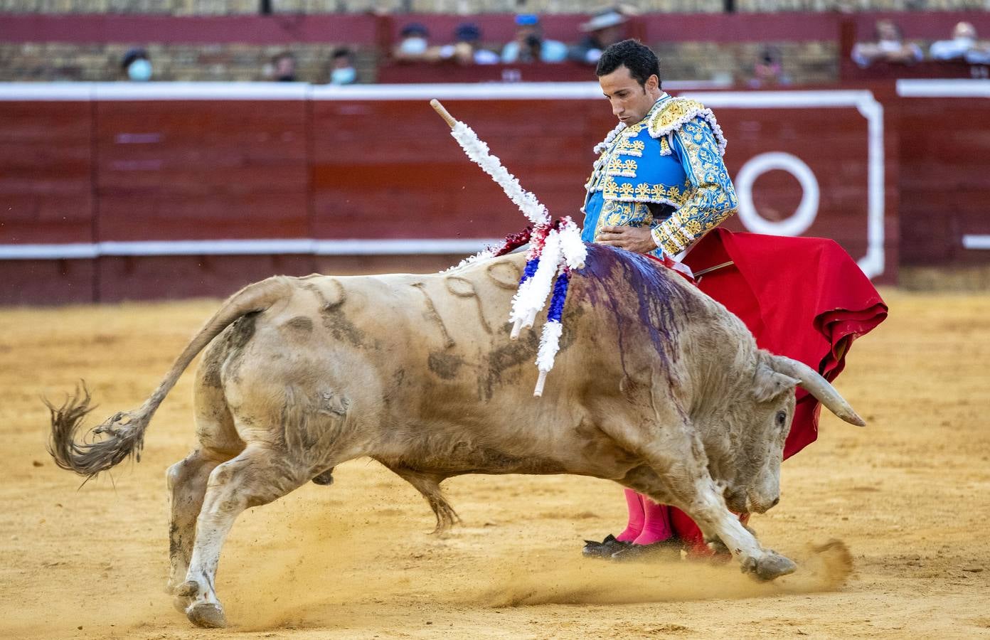 Los astados de esta última corrida llevaban el hierro y la divisa de Juan Pedro Domecq