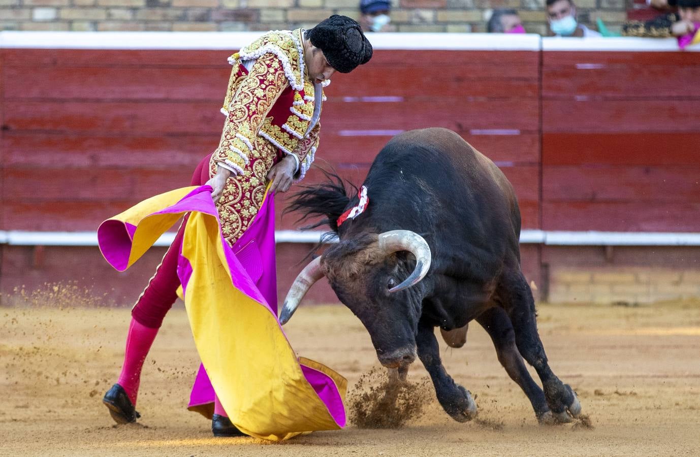 Los astados de esta última corrida llevaban el hierro y la divisa de Juan Pedro Domecq