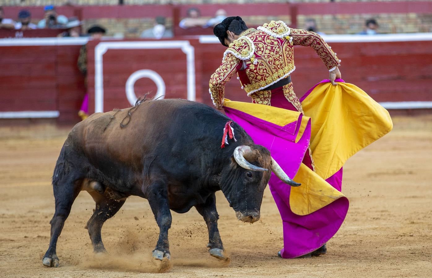 Los astados de esta última corrida llevaban el hierro y la divisa de Juan Pedro Domecq