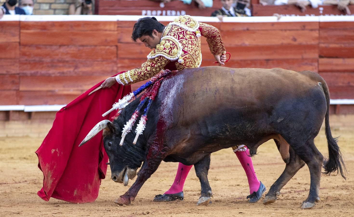 Los astados de esta última corrida llevaban el hierro y la divisa de Juan Pedro Domecq