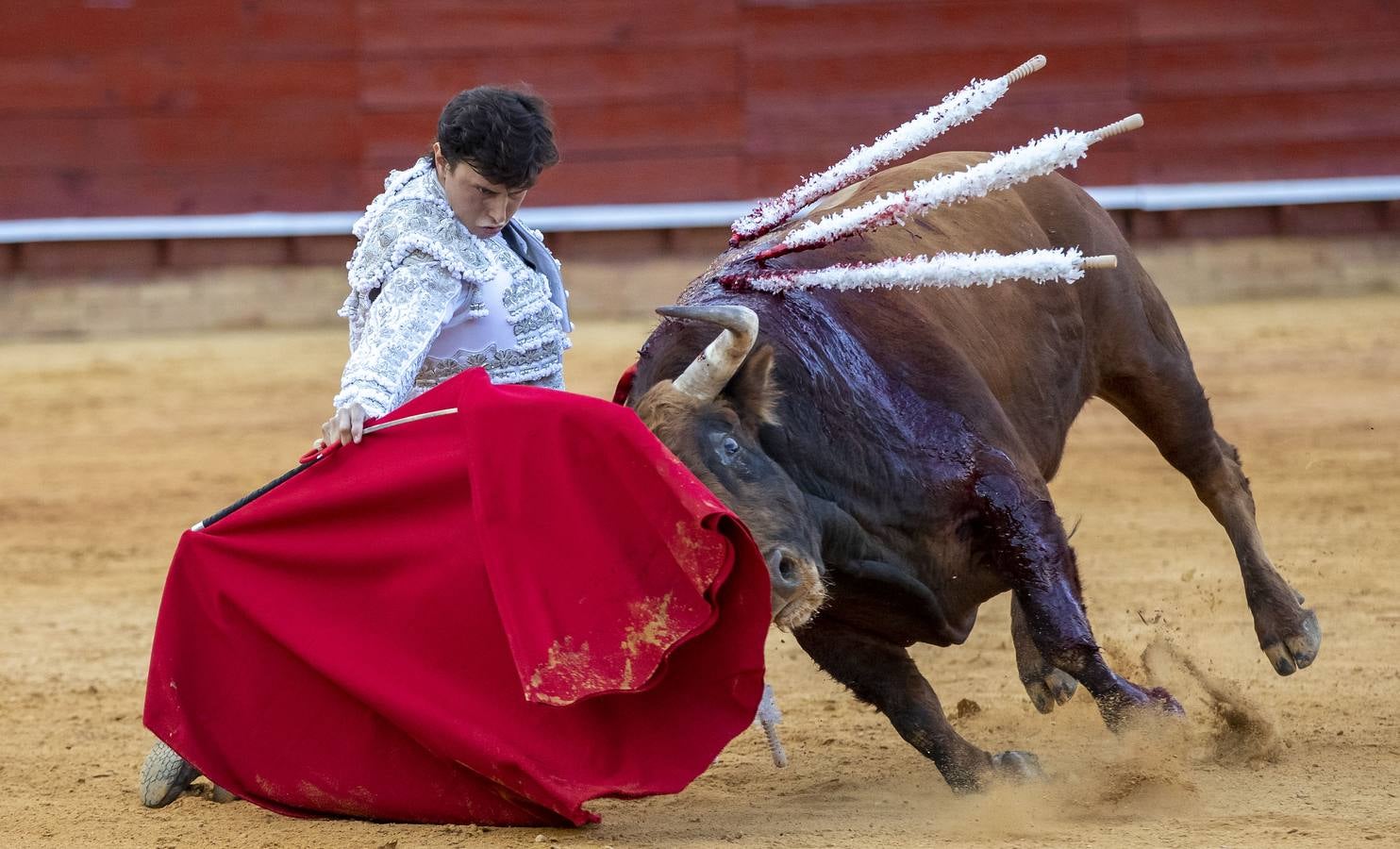 Los astados de esta última corrida llevaban el hierro y la divisa de Juan Pedro Domecq