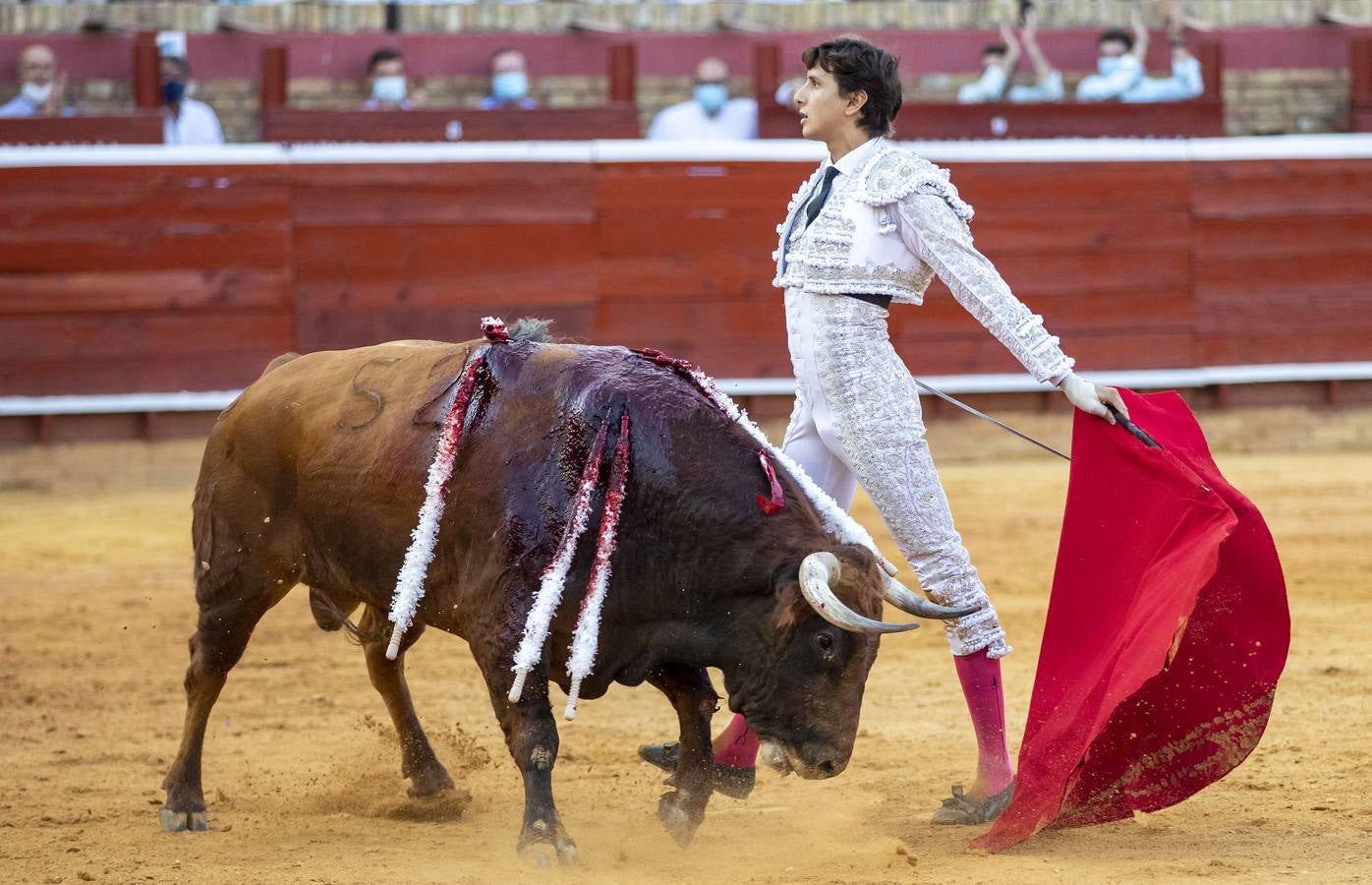 Los astados de esta última corrida llevaban el hierro y la divisa de Juan Pedro Domecq