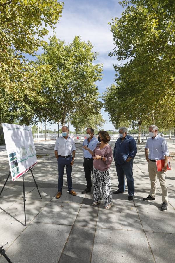 En imágenes, arrancan las obras en la calle Torneo